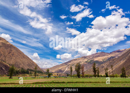 Blick auf den üppigen grünen Feldern im Heiligen Tal in der Nähe von Cusco, Peru Stockfoto