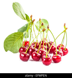 Reihe von reifen Kirschen mit verlässt isolierten weißen Hintergrund Stockfoto