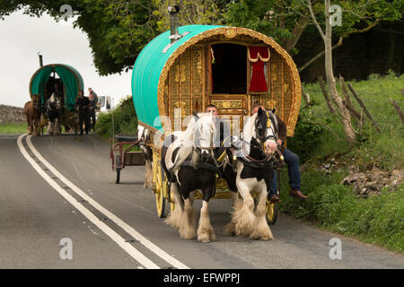 Traditionelle Gypsy Pferdekutsche Wohnwagen auf Straße in Richtung Appleby Horse Fair, Cumbria. Stockfoto