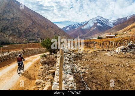 Junge Frau Mountainbiken im Elqui-Tal in der Nähe von Vicuña, Chile mit den Anden im Hintergrund Stockfoto