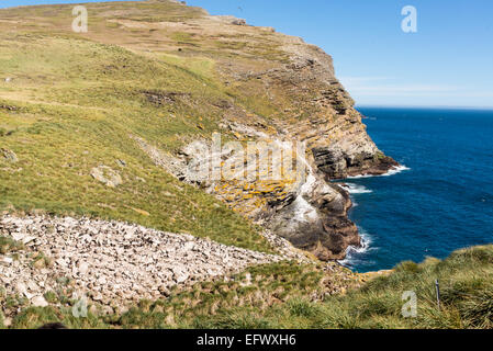 Malerische Aussicht Klippen am Westpunkt Island, Falkland-Inseln, die Heimat der Kolonien von Rockhopper Penguins und schwarze Augenbrauen Albatros Stockfoto