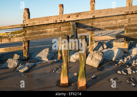 Getragen aus Holz Buhnen Neben versteinerten, prähistorische, Eiche, Wald, Baum, Sonnenuntergang, Ynyslas Strand, in der Nähe von Borth, Ceredigion, Mid Wales, Wales Stockfoto