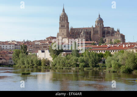 Fluss Tormes und Kathedrale von Salamanca, Kastilien und Leon, Spanien Stockfoto