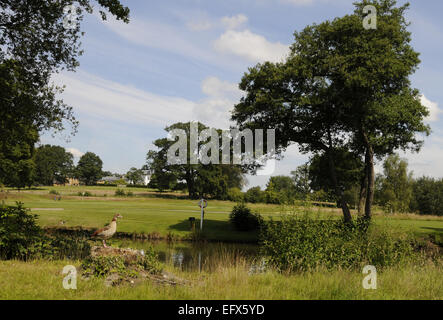 Blick auf den Teich und die Ente auf das 9. Loch mit Blick auf die 1. Grün Windlesham Golf Club Bagshot Surrey England Stockfoto