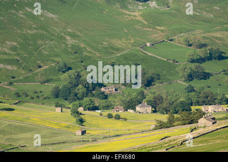 Dorf von Muker im Swaledale, Frühsommer. Yorkshire Dales National Park, UK Stockfoto