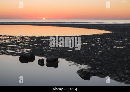 Bei Sonnenuntergang, versteinerte, prähistorische, Eiche, Wald, Baum, Bäume, Ynyslas Strand, in der Nähe von Borth, Ceredigion, Mid Wales, Wales Stockfoto