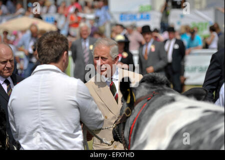 HRH Prinz Charles treffen Bauern auf der 2013 Royal Welsh Show. Stockfoto