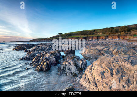 Der robuste Felsenstrand in Wembury in Devon Stockfoto