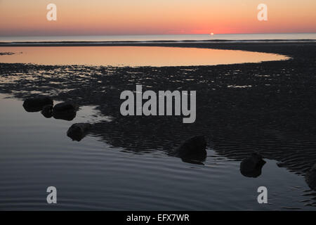 Sonnenuntergang am versteinerten, prähistorische, Eiche, Wald, Baum, Bäume, Ynyslas Strand, in der Nähe von Borth, Ceredigion, Mid Wales, Wales Stockfoto