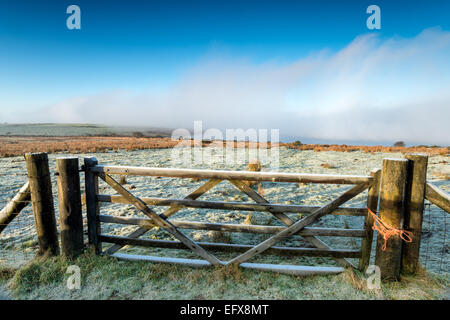 Ein hölzernes Tor führt zu Colliford, eingehüllt in Nebel auf Bodmin Moor in Cornwall Stockfoto