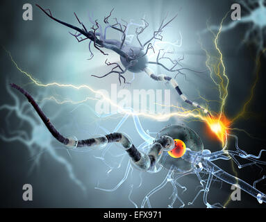 Nervenzellen, Konzept für neurologische Erkrankungen, Tumoren und Gehirn-Chirurgie. Stockfoto