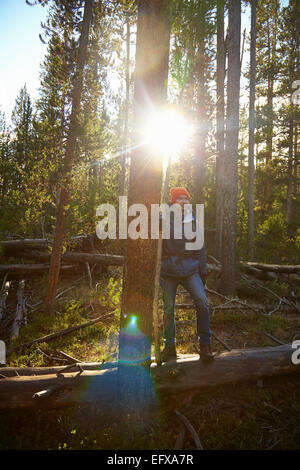 Wanderer, Pause, Yellowstone-Nationalpark, Wyoming, USA Stockfoto