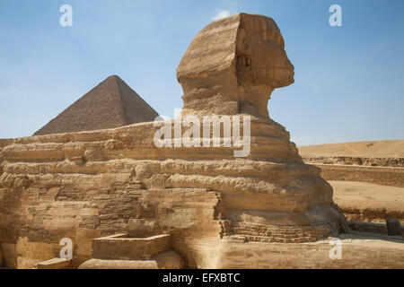 Die Sphinx mit der großen Pyramide im Hintergrund, Giza, Ägypten Stockfoto