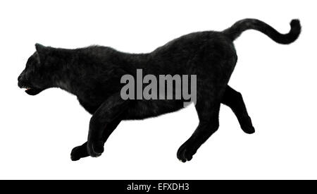 Digitale 3D Rendern von einem Traber Black Panther isoliert auf weißem Hintergrund Stockfoto