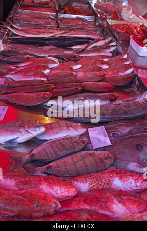 Markt verkaufen Stall erwischt lokal, frischen Fisch, Marsaxlokk, Malta Stockfoto