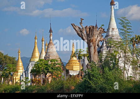Goldene und weiße buddhistischen Stupas am Ufer entlang Inle-See, Nyaungshwe, Shan State in Myanmar / Birma Stockfoto