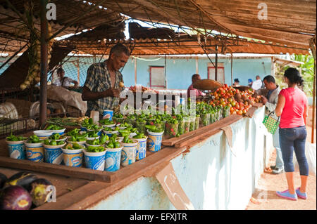 Horizontale Ansicht des wichtigsten Obst- und Gemüsemarkt in Camagüey, Kuba. Stockfoto