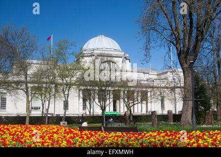 National Museum und Galerie Exterieur von Gorsedd Gärten im Frühjahr Cardiff South Wales UK Stockfoto