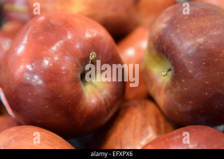 Schöne rote frische Äpfel, Obst, wurden ausgewählt, um fotografiert zu werden Stockfoto
