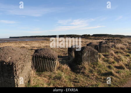 Alten Zweiter Weltkrieg Verteidigung Tentsmuir Fife Schottland Februar 2015 Stockfoto