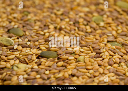 Nahaufnahme von einem rohen kohlenhydratarme Knäckebrot. Kann als Hintergrund verwendet werden. Stockfoto