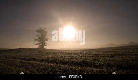 Ein Bild von einem kalten Herbstmorgen in Norwegen. Stockfoto