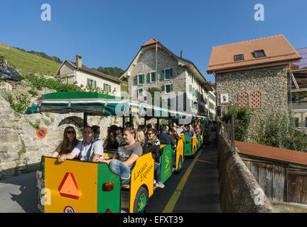 Epesses, Weinberge, Lavaux Region Genfer See, Schweizer Alpen, Schweiz Stockfoto