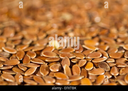 Getrocknete braune Leinsamen. Kann als Hintergrund verwendet werden. Flachs ist auch bekannt als gemeinsame Flachs oder Leinsamen (Linum Usitatissimum). Stockfoto