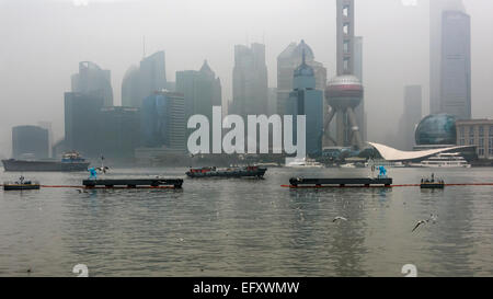 Pudong-Skylne mit Bootsverkehr auf dem Huangpu-Fluss, regnerischen Tag mit Möwen, Shanghai, China Stockfoto