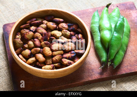 Geröstete Bohnen (lat. Vicia Faba) gegessen als Snack in Bolivien in Holzschale mit frischen Bohnen Schoten auf der Seite Stockfoto