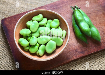 Rohe Bohnen (lat. Vicia Faba) in Schüssel mit Hülsen auf der Seite, fotografiert mit natürlichem Licht (Tiefenschärfe) Stockfoto