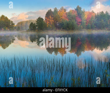 Lake Superior State Forest, Michigan: Dawn Reflexionen über Kingston See mit bunten Herbstwald Stockfoto