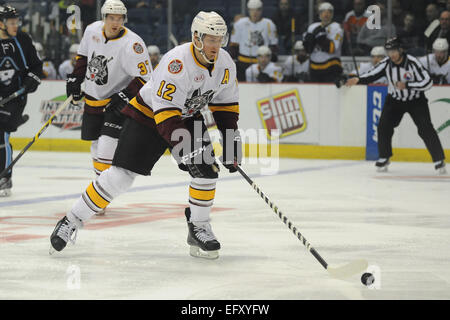 Rosemont, Illinois, USA. 11. Februar 2015. Chicago Wolves' Pat Cannone (12) steuert den Puck in der American Hockey League-Spiel zwischen den Chicago Wolves und die Milwaukee Admirals in der Allstate Arena in Rosemont, Illinois. Patrick Gorski/CSM/Alamy Live-Nachrichten Stockfoto