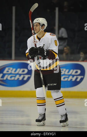 Rosemont, Illinois, USA. 11. Februar 2015. Chicago Wolves' Ty Rattie (8) Schlittschuhe um vor dem American Hockey League-Spiel zwischen den Chicago Wolves und die Milwaukee Admirals in der Allstate Arena in Rosemont, Illinois. Patrick Gorski/CSM/Alamy Live-Nachrichten Stockfoto