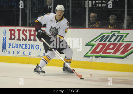 Rosemont, Illinois, USA. 11. Februar 2015. Chicago Wolves Petteri Lindbohm (4) steuert den Puck in der American Hockey League-Spiel zwischen den Chicago Wolves und die Milwaukee Admirals in der Allstate Arena in Rosemont, Illinois. Patrick Gorski/CSM/Alamy Live-Nachrichten Stockfoto