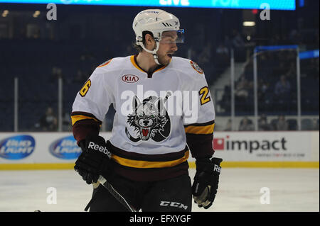 Rosemont, Illinois, USA. 11. Februar 2015. Chicago Wolves Nathan Longpre (26) wartet auf Faceoff während der American Hockey League-Spiel zwischen den Chicago Wolves und die Milwaukee Admirals in der Allstate Arena in Rosemont, Illinois. Patrick Gorski/CSM/Alamy Live-Nachrichten Stockfoto