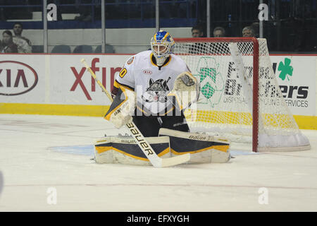 Rosemont, Illinois, USA. 11. Februar 2015. Chicago Wolves Jordan Binnington (30) bereitet, während die American Hockey League-Spiel zwischen den Chicago Wolves und die Milwaukee Admirals in der Allstate Arena in Rosemont, Illinois zu blockieren. Patrick Gorski/CSM/Alamy Live-Nachrichten Stockfoto