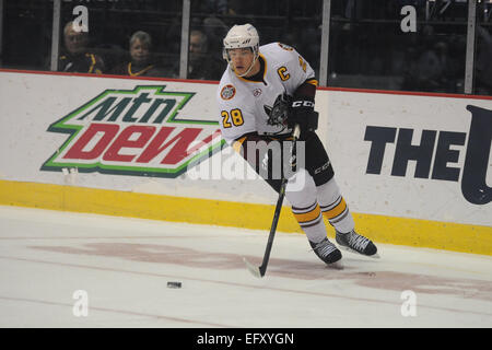 Rosemont, Illinois, USA. 11. Februar 2015. Chicago Wolves Brent Regner (28) steuert den Puck in der American Hockey League-Spiel zwischen den Chicago Wolves und die Milwaukee Admirals in der Allstate Arena in Rosemont, Illinois. Patrick Gorski/CSM/Alamy Live-Nachrichten Stockfoto