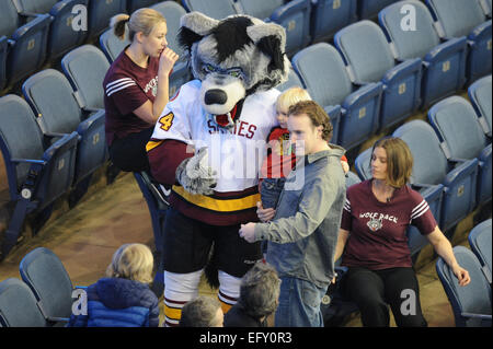 Rosemont, Illinois, USA. 11. Februar 2015. Die Wölfe-Maskottchen nimmt Fotos mit Fans in der American Hockey League Spiel zwischen den Chicago Wolves und die Milwaukee Admirals in der Allstate Arena in Rosemont, Illinois. Patrick Gorski/CSM/Alamy Live-Nachrichten Stockfoto