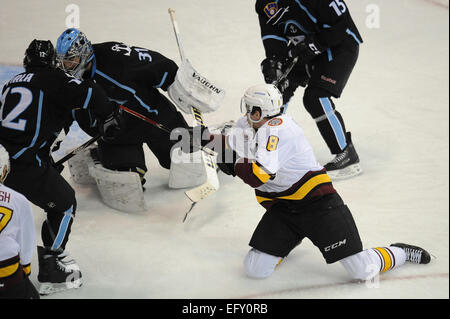 Rosemont, Illinois, USA. 11. Februar 2015. Chicago Wolves' Ty Rattie (8) versucht ein Ziel in der American Hockey League-Spiel zwischen den Chicago Wolves und die Milwaukee Admirals in der Allstate Arena in Rosemont, Illinois. Patrick Gorski/CSM/Alamy Live-Nachrichten Stockfoto