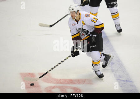 Rosemont, Illinois, USA. 11. Februar 2015. Chicago Wolves' Pat Cannone (12) steuert den Puck in der American Hockey League-Spiel zwischen den Chicago Wolves und die Milwaukee Admirals in der Allstate Arena in Rosemont, Illinois. Patrick Gorski/CSM/Alamy Live-Nachrichten Stockfoto