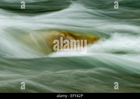 Wasser fließt über Felsen auf den Middle Fork des Salmon River in Frank Church - River von No Return Wilderness Idaho Stockfoto