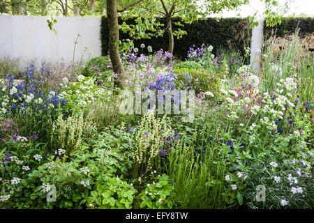 Zelkova Serrata und vermischt mit Gräsern und Stauden - M & G Garten, Chelsea Flower Show 2014 Grenzen, zu entwerfen: Cleve W Stockfoto