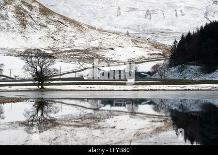 Bauernhaus reflektiert in Loch die Lowes im Winter. Scottish Borders, Schottland. Stockfoto