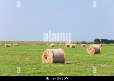 auf einer Weide sind getrocknete Heu Rundballen. im Hintergrund auf einem Deich Leuchtturm Stockfoto