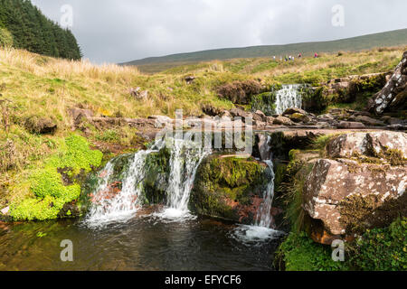 Kleiner Bach an der Basis des Pen y Fan, Brecon Beacons National Park, Wales Stockfoto