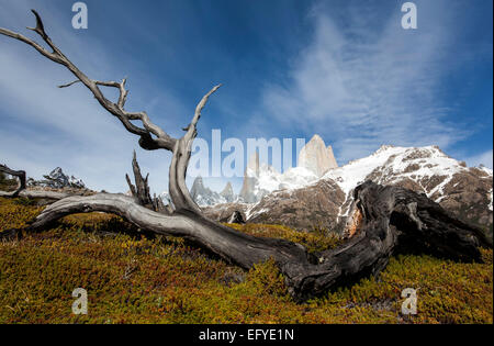 Mount Fitz-Roy-massiv. Nationalpark Los Glaciares. Patagonien. Argentinien Stockfoto