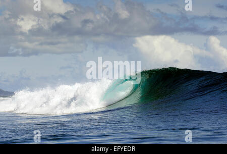 Blue Surf-Welle in Maluku, Indonesien Stockfoto