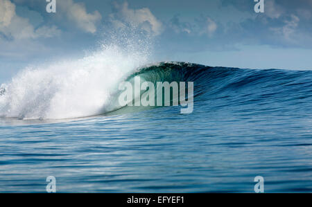 Blue Surf-Welle in Maluku, Indonesien Stockfoto