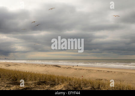 Blick auf den Strand und die Nordsee bei Katwijk Aan Zee, Südholland, Niederlande. Stockfoto
